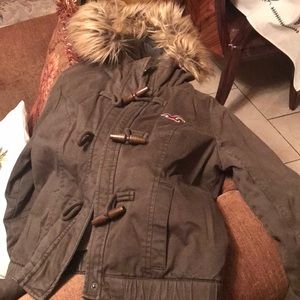 Hollister jacket